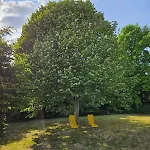 Chalet De La Plante Thure