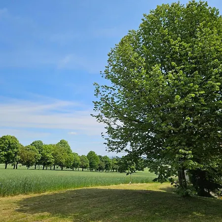 Alpehytte De La Plante *