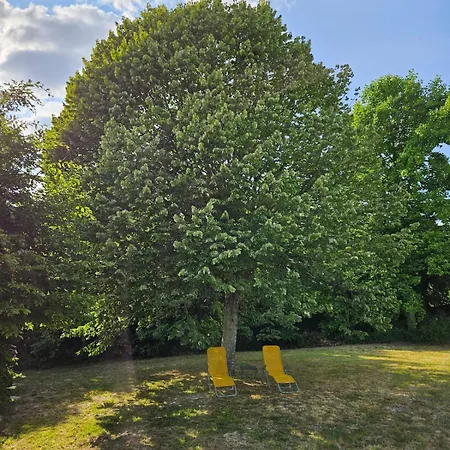 Alpehytte De La Plante Thuré