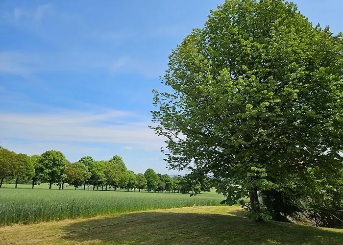 Chalet De La Plante *