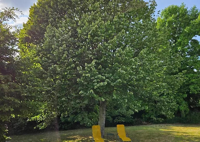 Chalet De La Plante Thuré